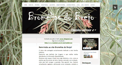 Desktop Screenshot of bromeliasdobrejo.com